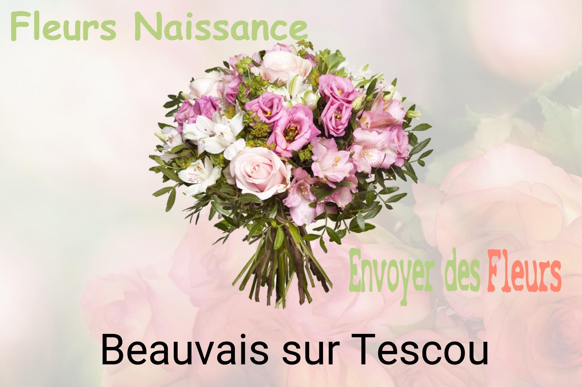 Bouquet de fleurs de naissance livré à Beauvais-sur-Tescou